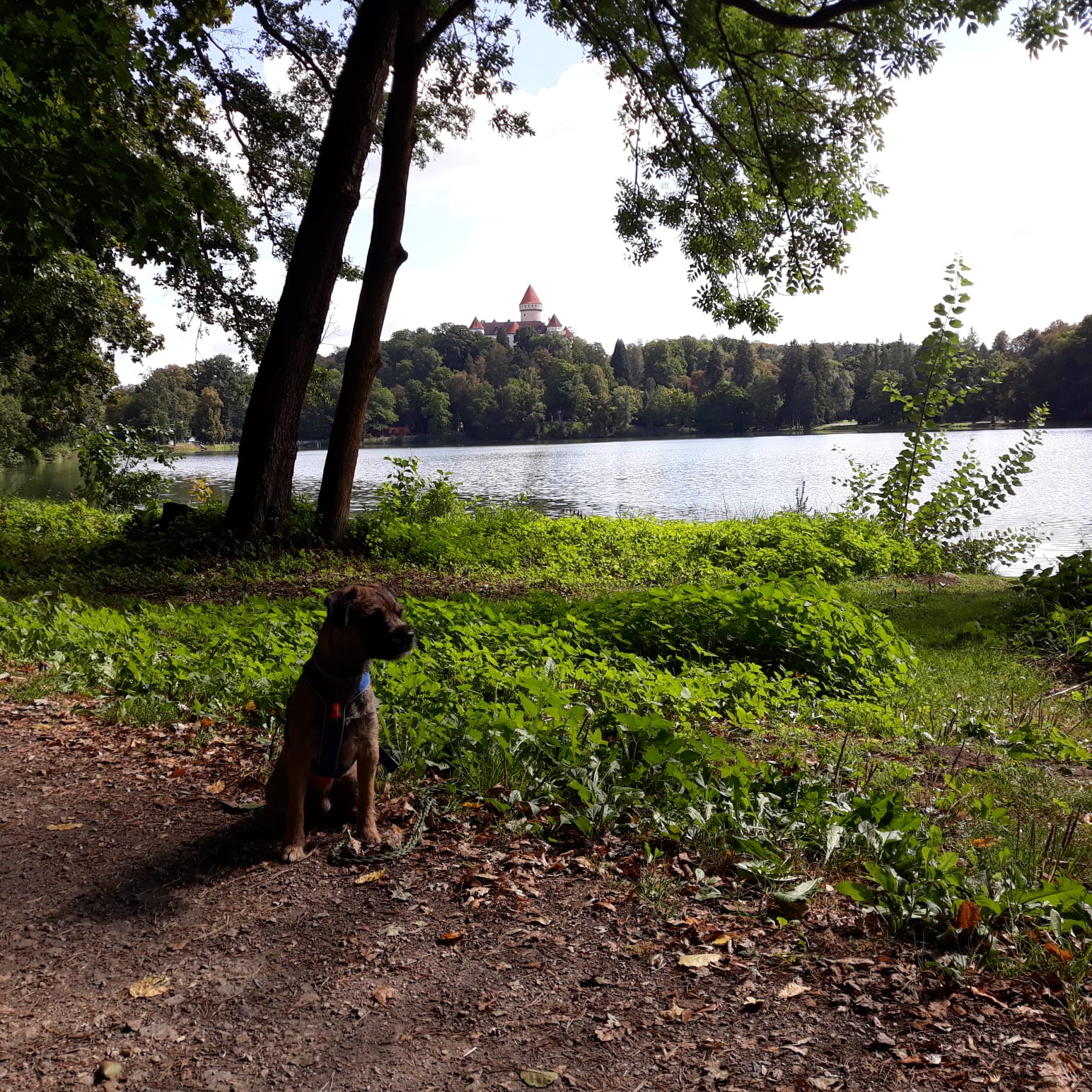 Konopiště