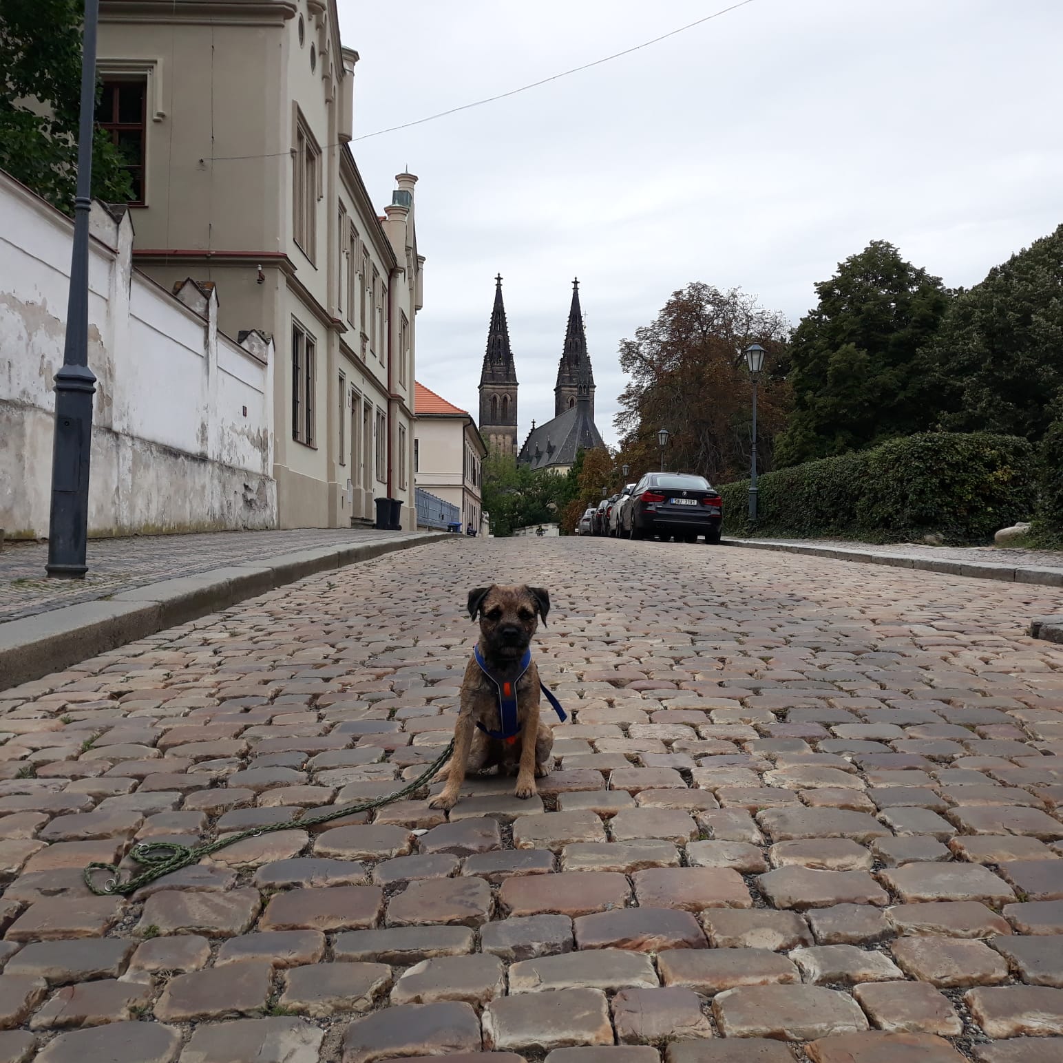 Vyšehrad - aneb i Praha má hrady a letohrádky