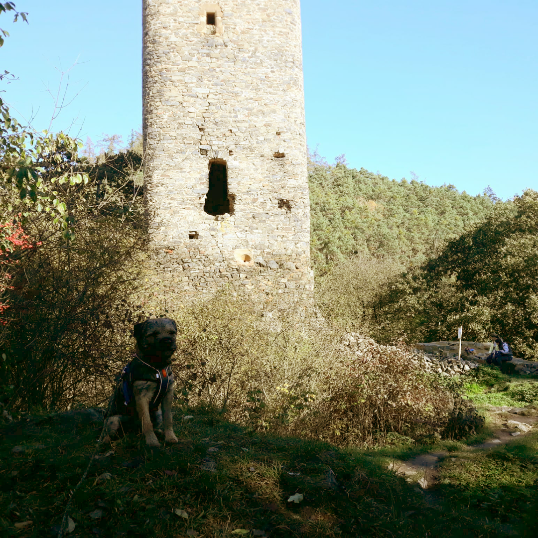 Libštejn