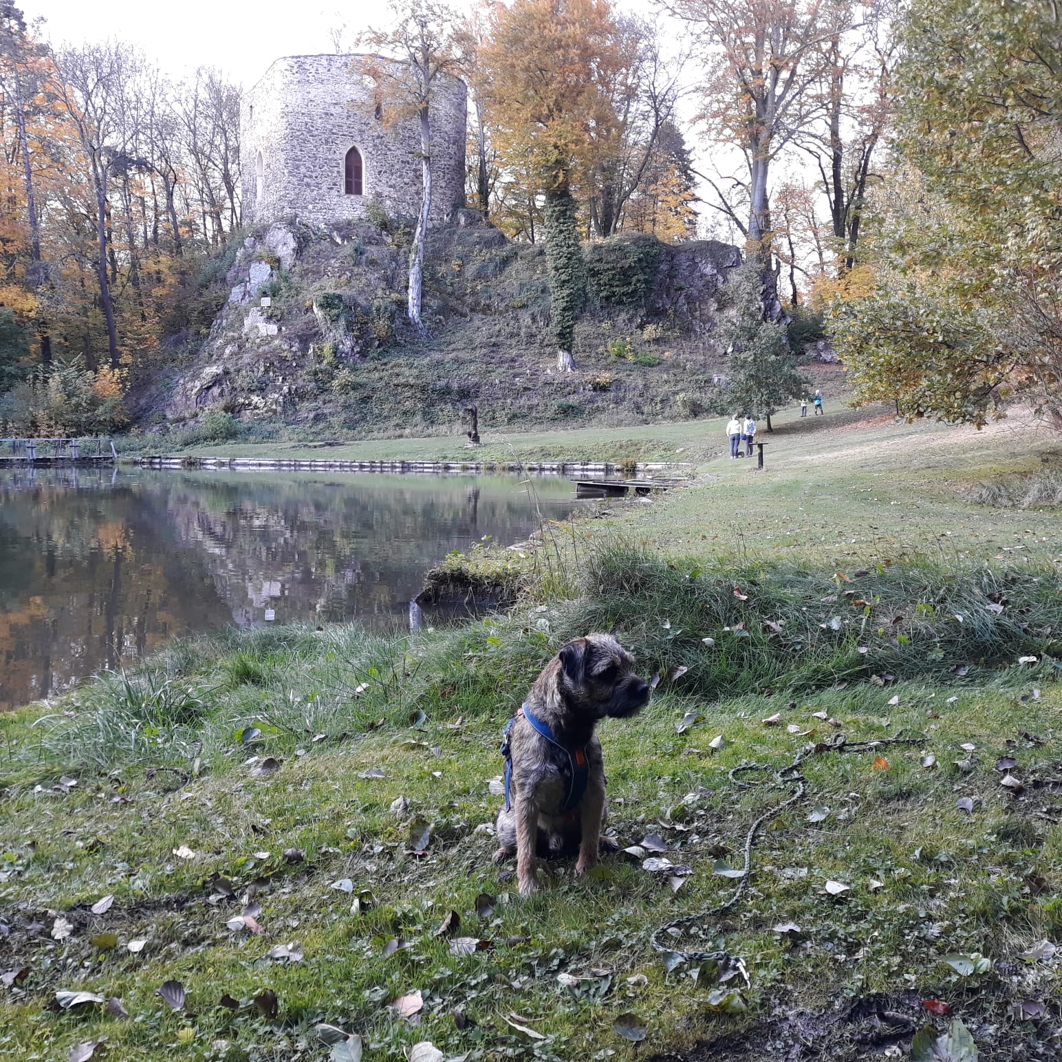 Salon - Březina